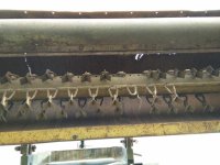 IMG_20150529_181633.jpeg