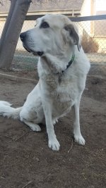 20180305_170446.jpg