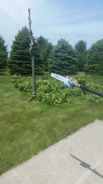 windy day.jpg