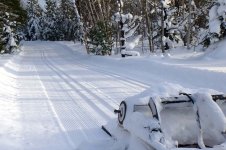 Dec good tracks(croppped).jpg