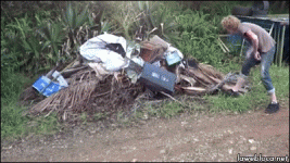 IMG_3408.GIF