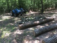 IMG_1177.JPG