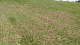 IMG_20180508_152216521.jpeg