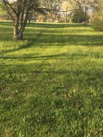 IMG_4115.JPG