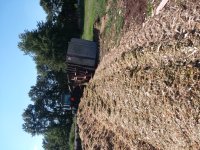 20180828_153314.jpg