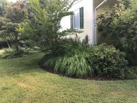 IMG_0340.JPG