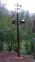 BirdFeeder-3.jpg
