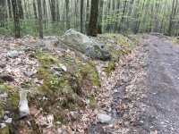 IMG_1548.jpg