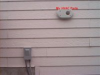 IMG_1153.JPG