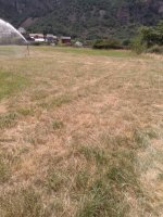 IMG_20180711_125057.jpeg