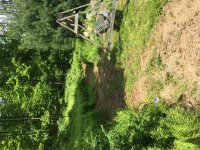 IMG_0706.JPG IMG_0706.JPG
