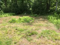 IMG_0705.JPG IMG_0705.JPG
