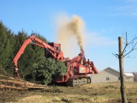 tree guys last day-chipping 024_1.JPG