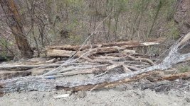 20180422_123710.jpeg 20180422_123710.jpeg