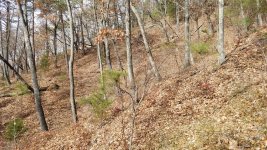 20161127_133236.jpeg