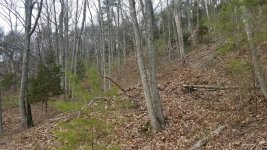 20180310_172940.jpeg