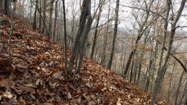 20161127_131610.jpeg