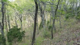 20170415_123102.jpeg