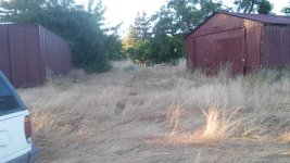 20180531_194408[1].jpg
