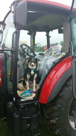 Case Farmall 75C.jpg