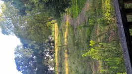 WP_20180815_18_27_29_Raw - Copy.jpg