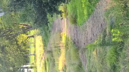 WP_20180815_18_27_10_Raw - Copy.jpg