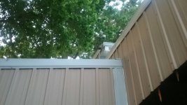 20180513_200003.jpeg