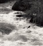 Copy of Fish Creek0001.jpg