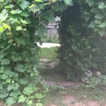 image.jpeg