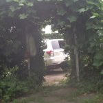 image.jpeg