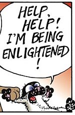 HelpHelpImBeingEnlightened2.jpg