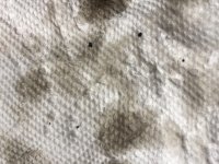 99BA2365-8286-46A2-A1BC-80628F09208F.jpeg