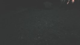 20181001_103115.jpeg
