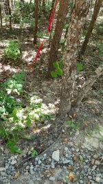 20180718_161640.jpeg