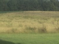 IMG_8725.JPG