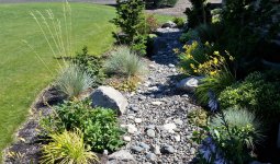 dry-creek-bed-drainage- (1).jpg