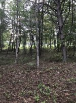 IMG_0210.JPG