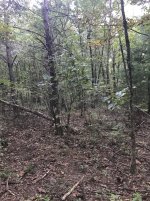IMG_0208.JPG