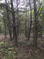 IMG_0205.JPG