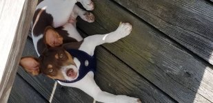 20180713_102050.jpeg
