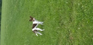 20180712_135719.jpeg