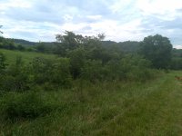 IMG_20180702_181731861.jpg