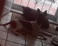 20180725_112357_1532532270692~2.jpeg