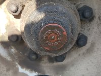 20180724_181456.jpg
