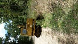 8-31-18 CAT Back Upright.jpg