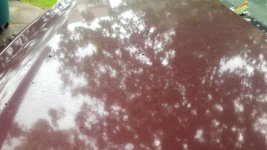 20180915_125118.jpg