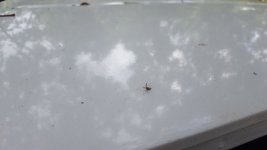 20180915_125323.jpg