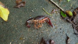 20180915_135147.jpg