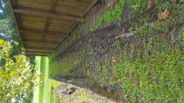 20180915_155623.jpg