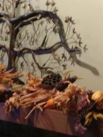IMG_20171105_210202.jpeg